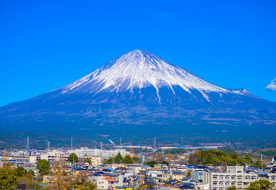 富士市・富士宮市を知り尽くしたからこそできる、根拠ある査定。
