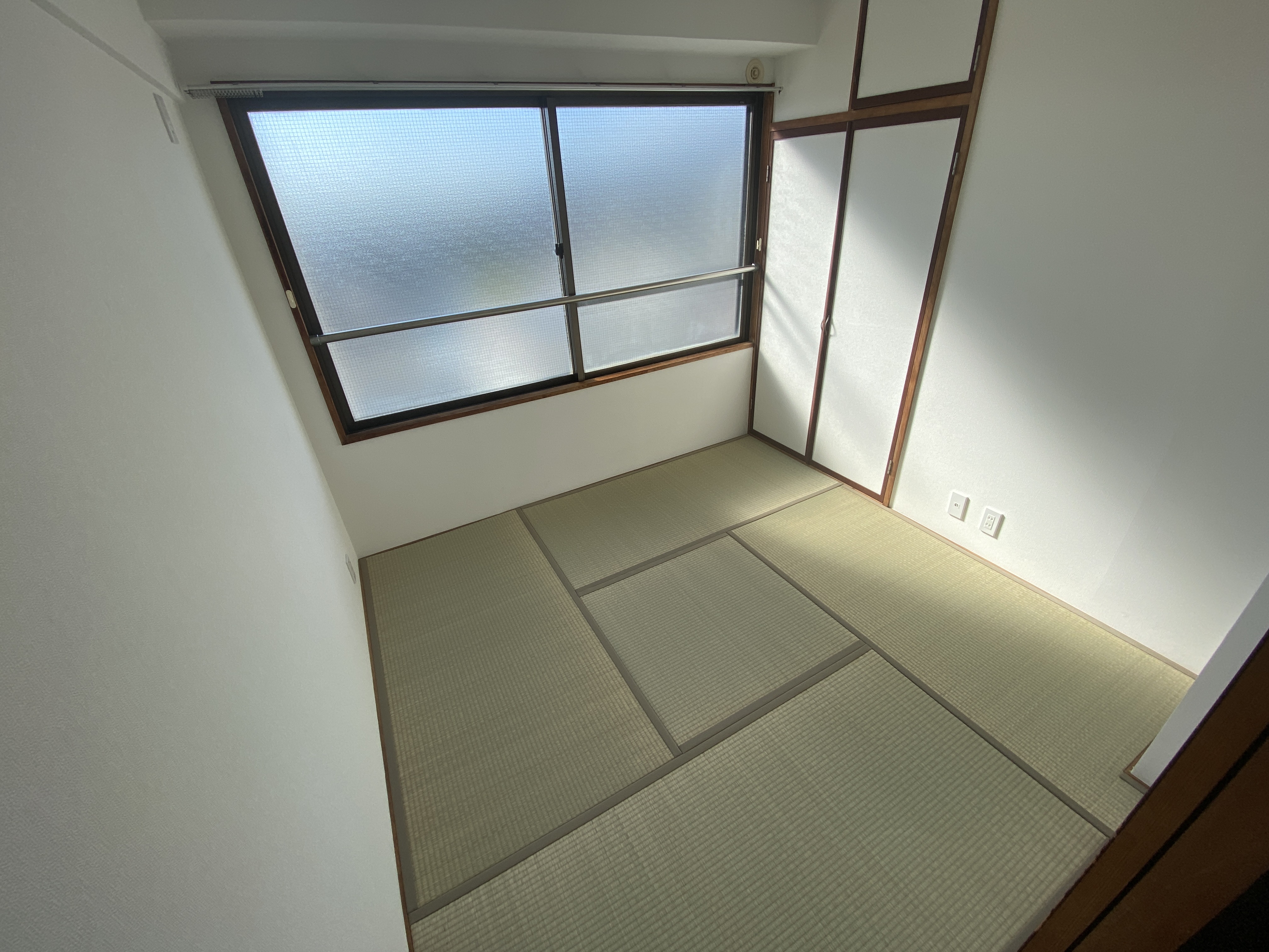 メゾンKOSE　501