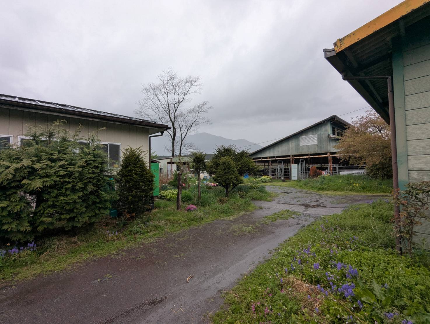 富士宮市根原住宅付牛舎1705.49坪