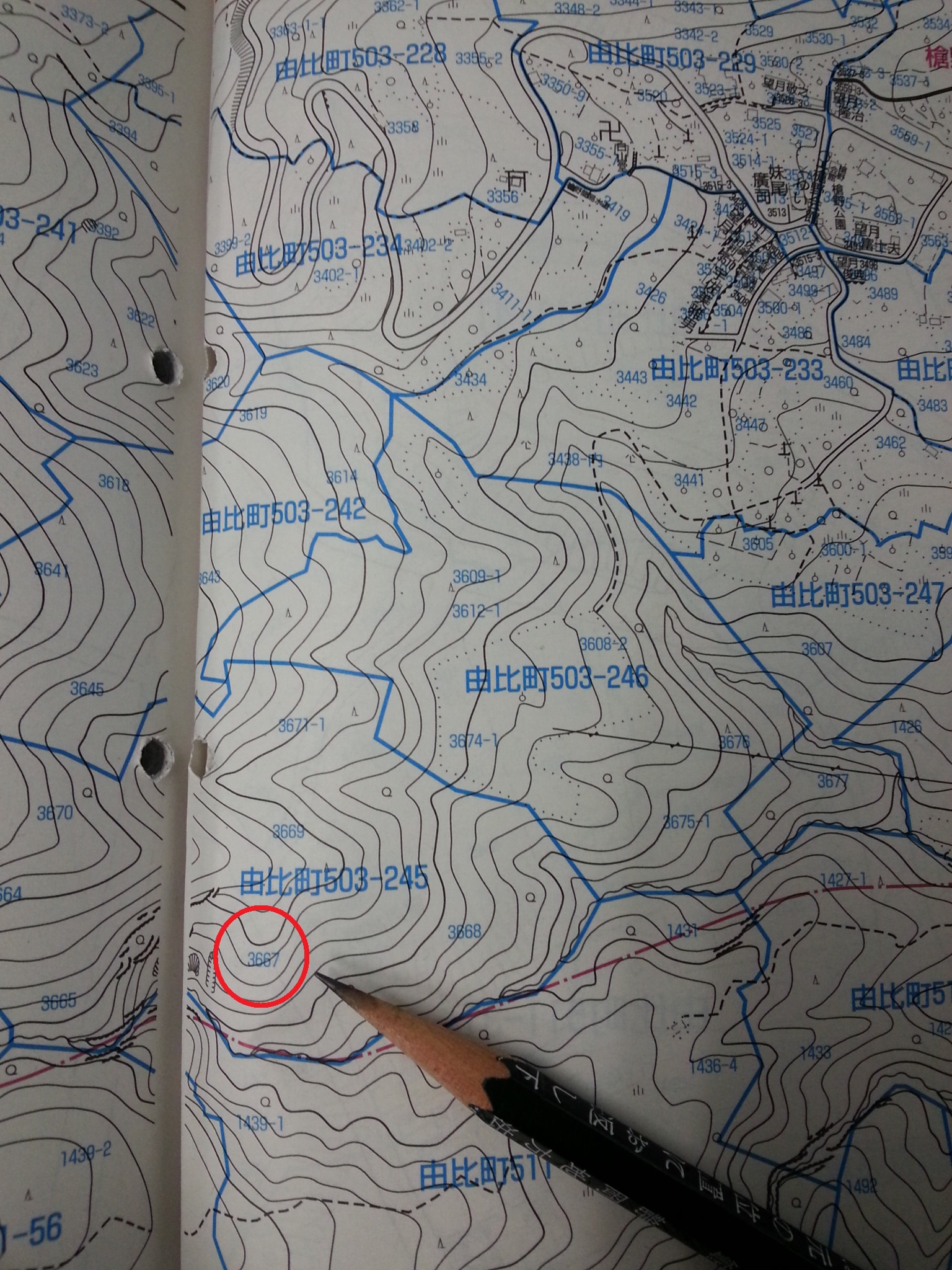 清水区由比入山　資産保有