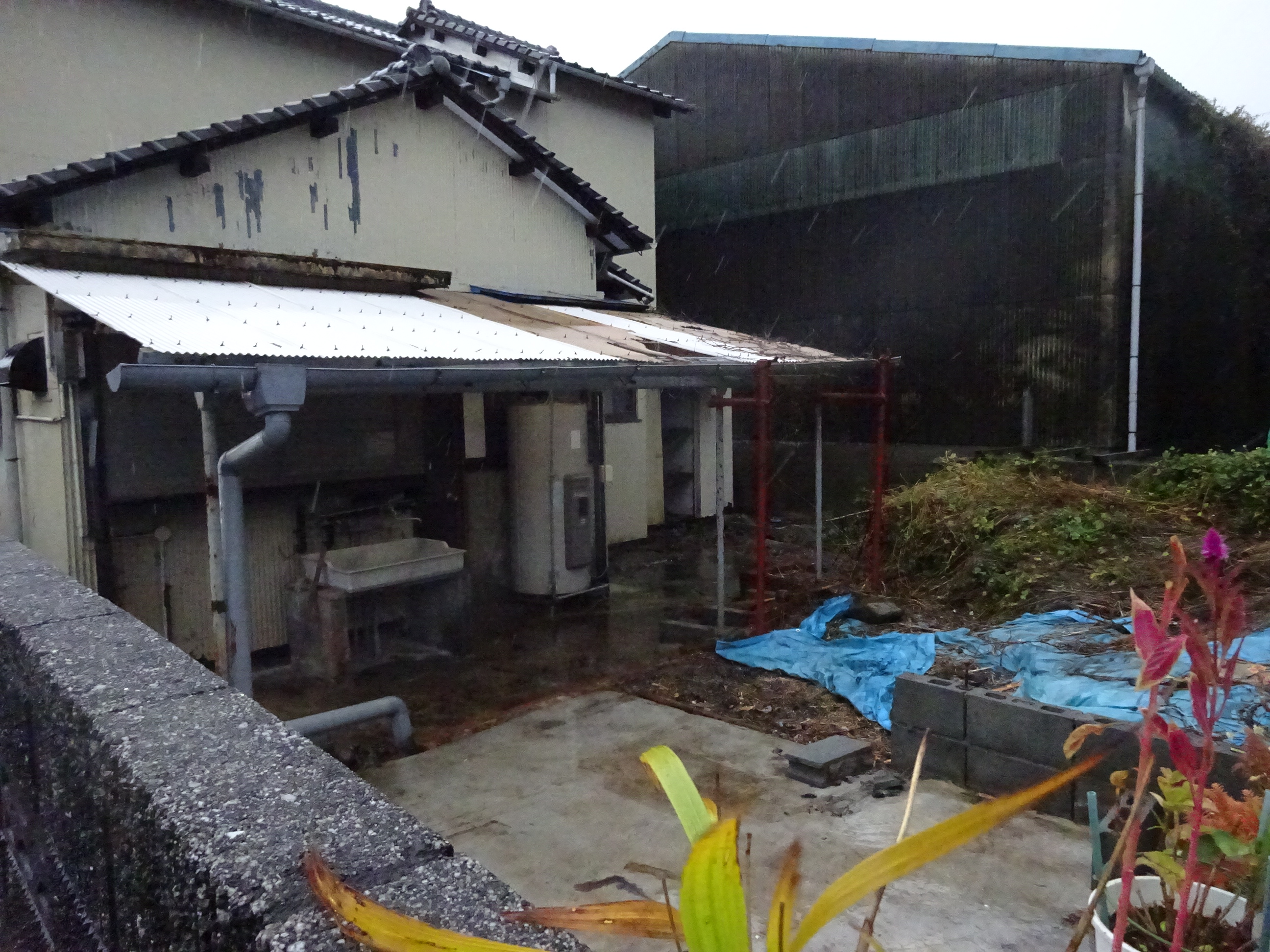 静岡市清水区由比 売土地