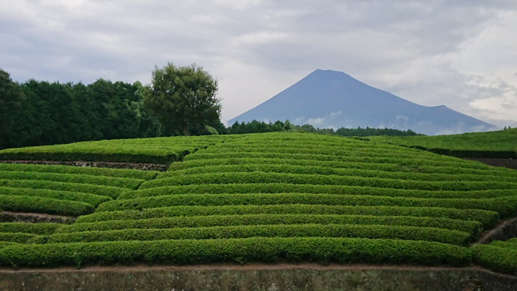 富士市大淵・景色と面積が自慢の中古住宅