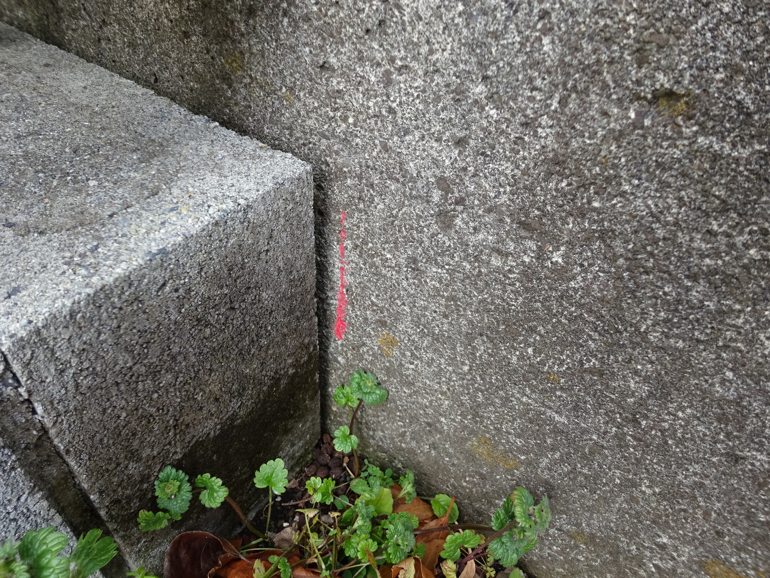 富士宮市万野原新田売土地