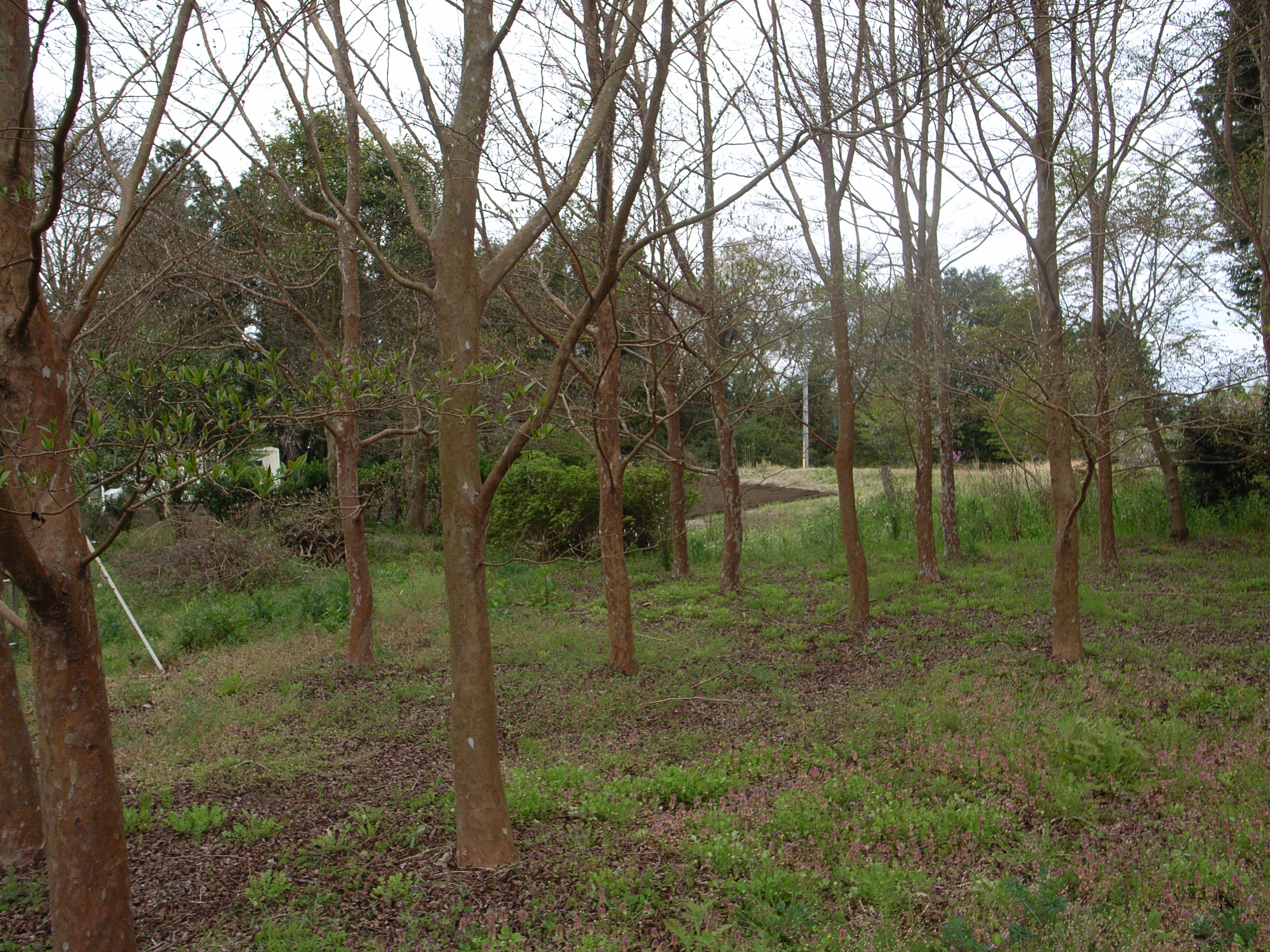 富士宮市村山売土地