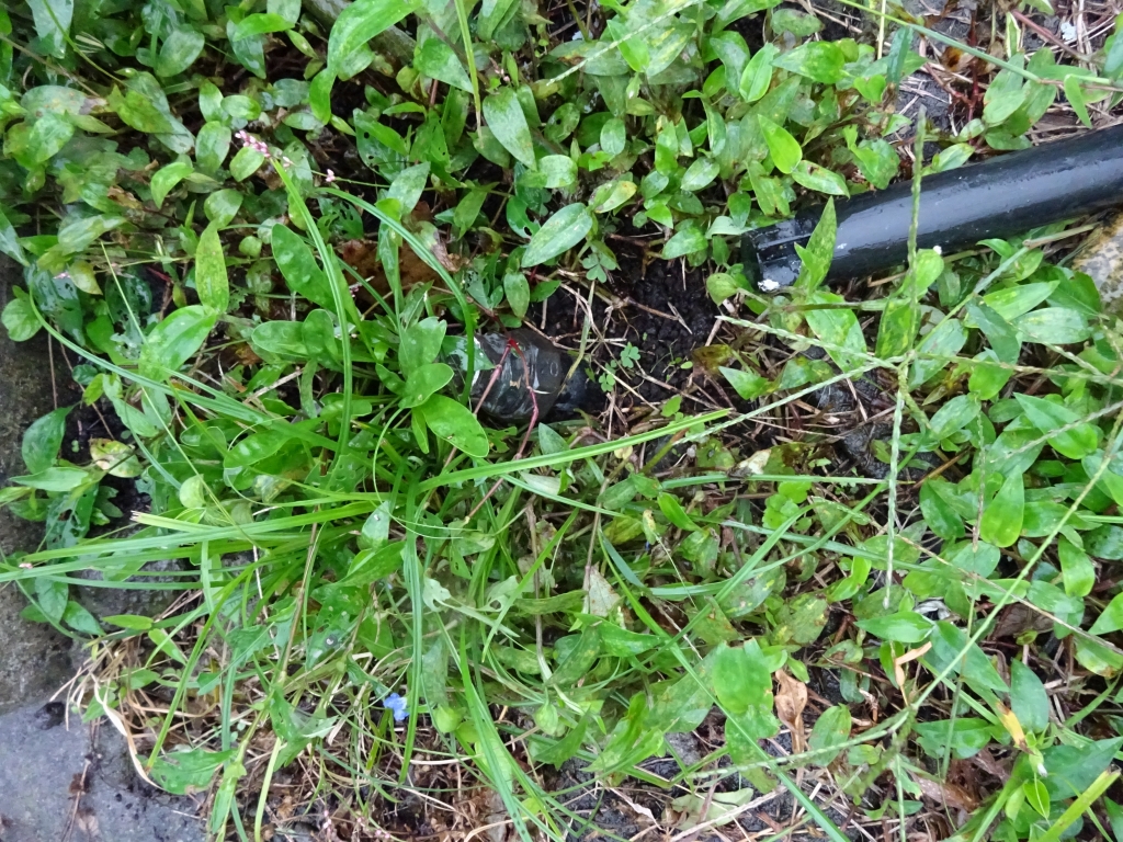 富士市大渕売土地