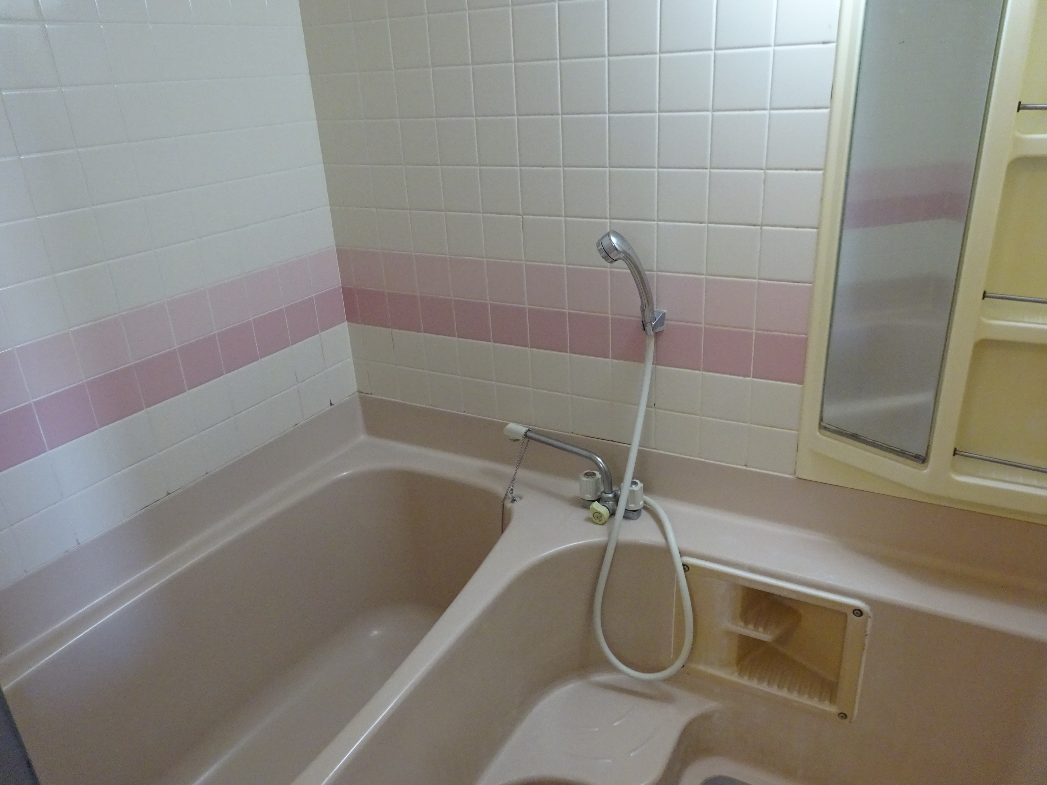 リシャール富士