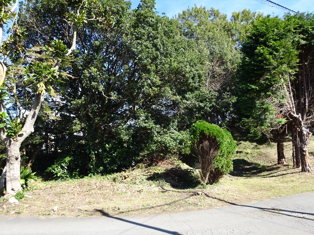 富士宮市大岩売土地