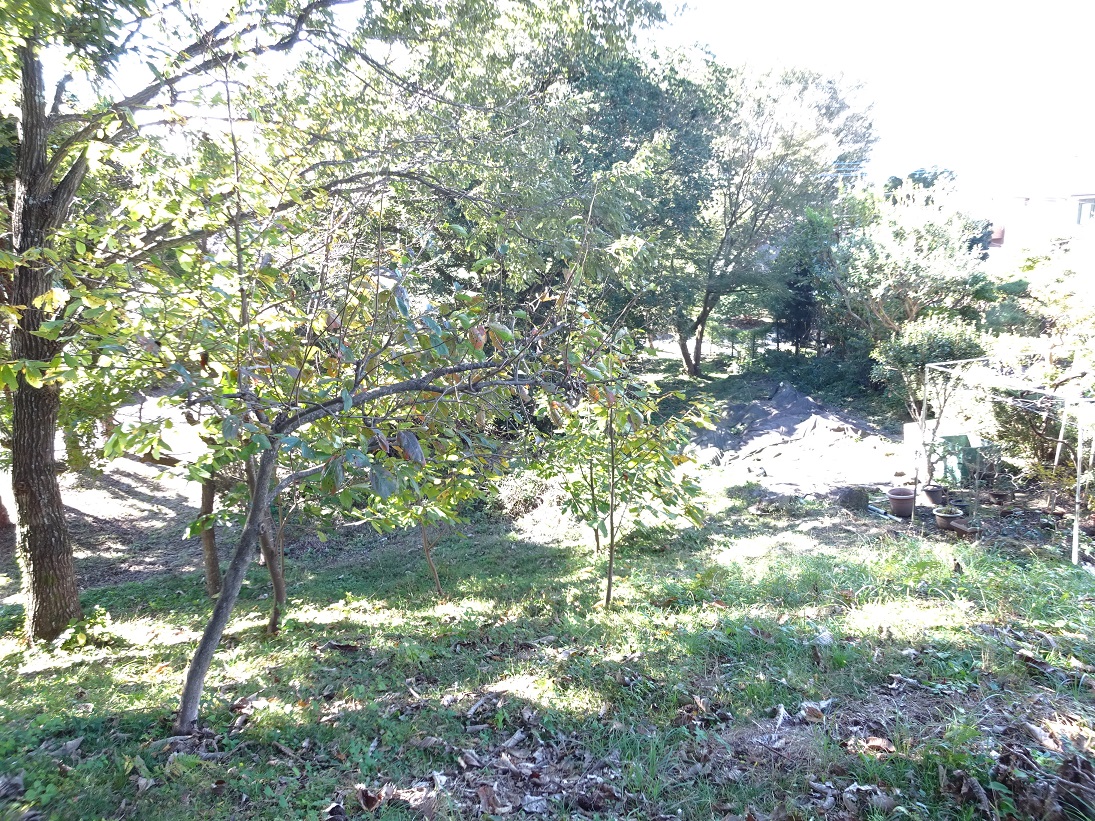 富士宮市大岩売土地