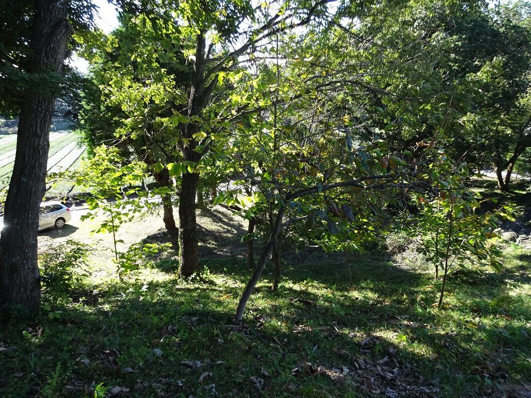 富士宮市大岩売土地