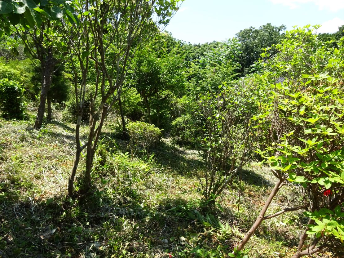 富士宮市西山中古住宅