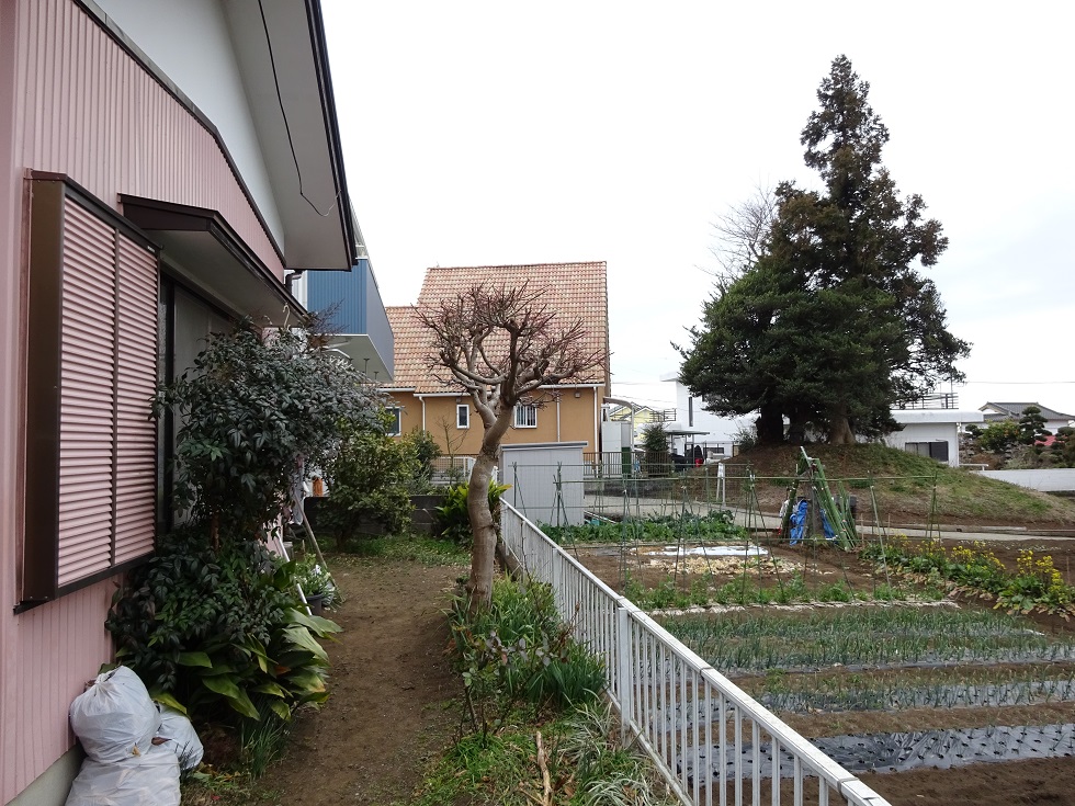 富士宮市小泉売土地