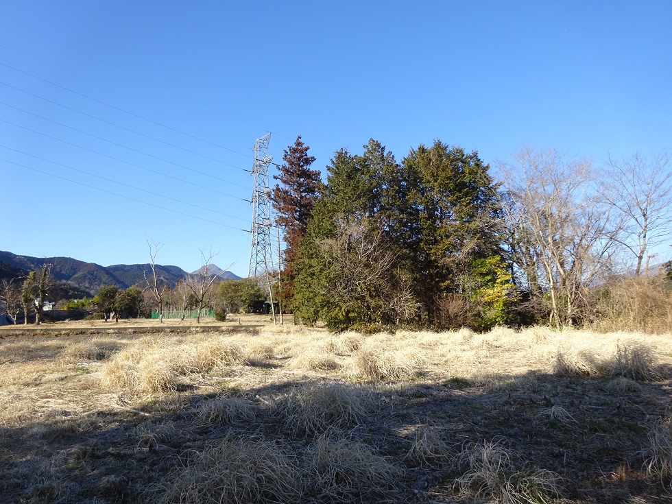 富士宮市鳥並土地
