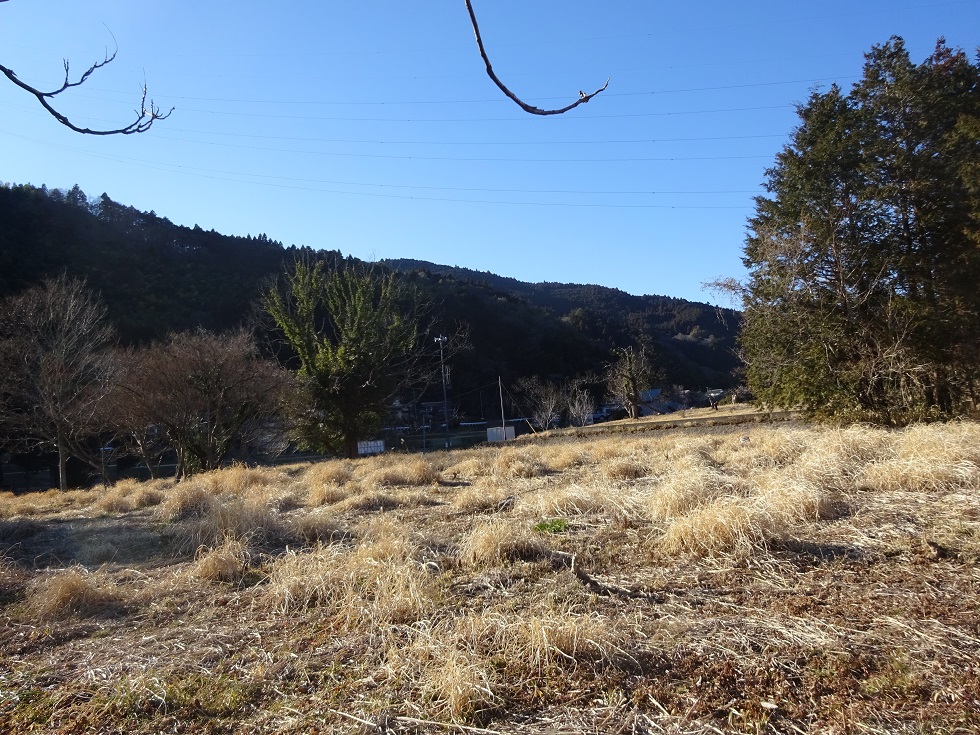 富士宮市鳥並土地