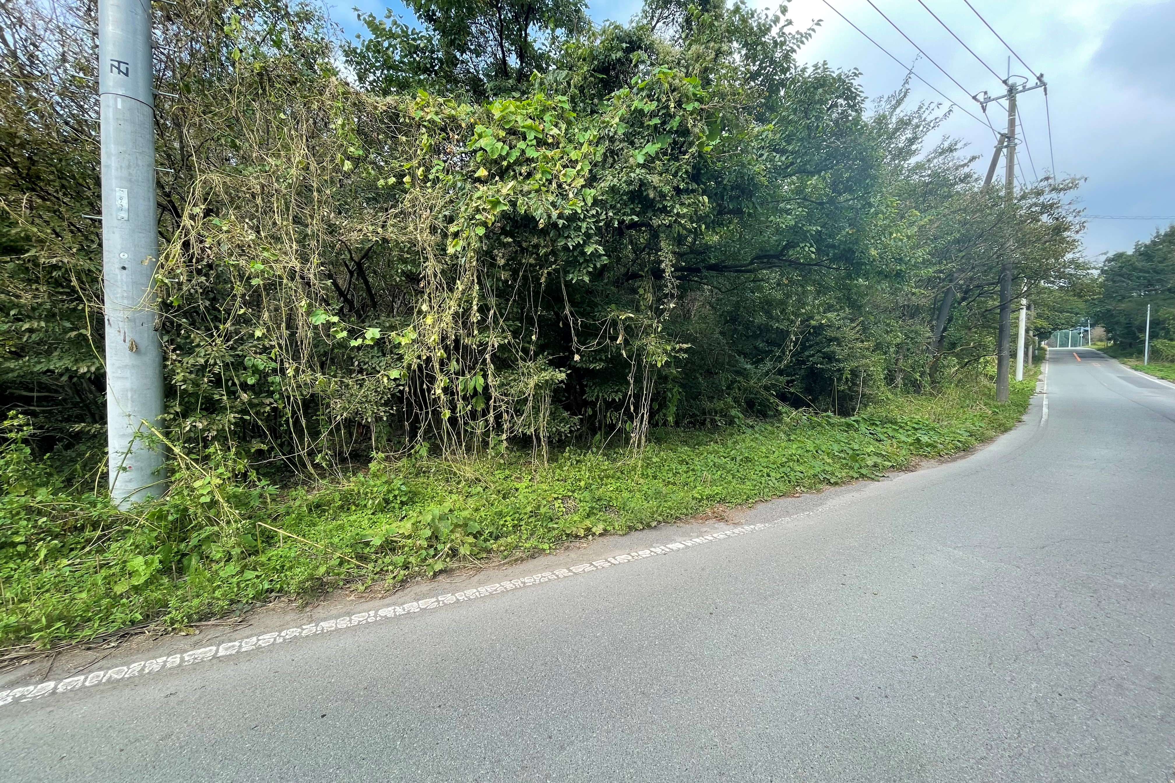 富士宮市根原売土地