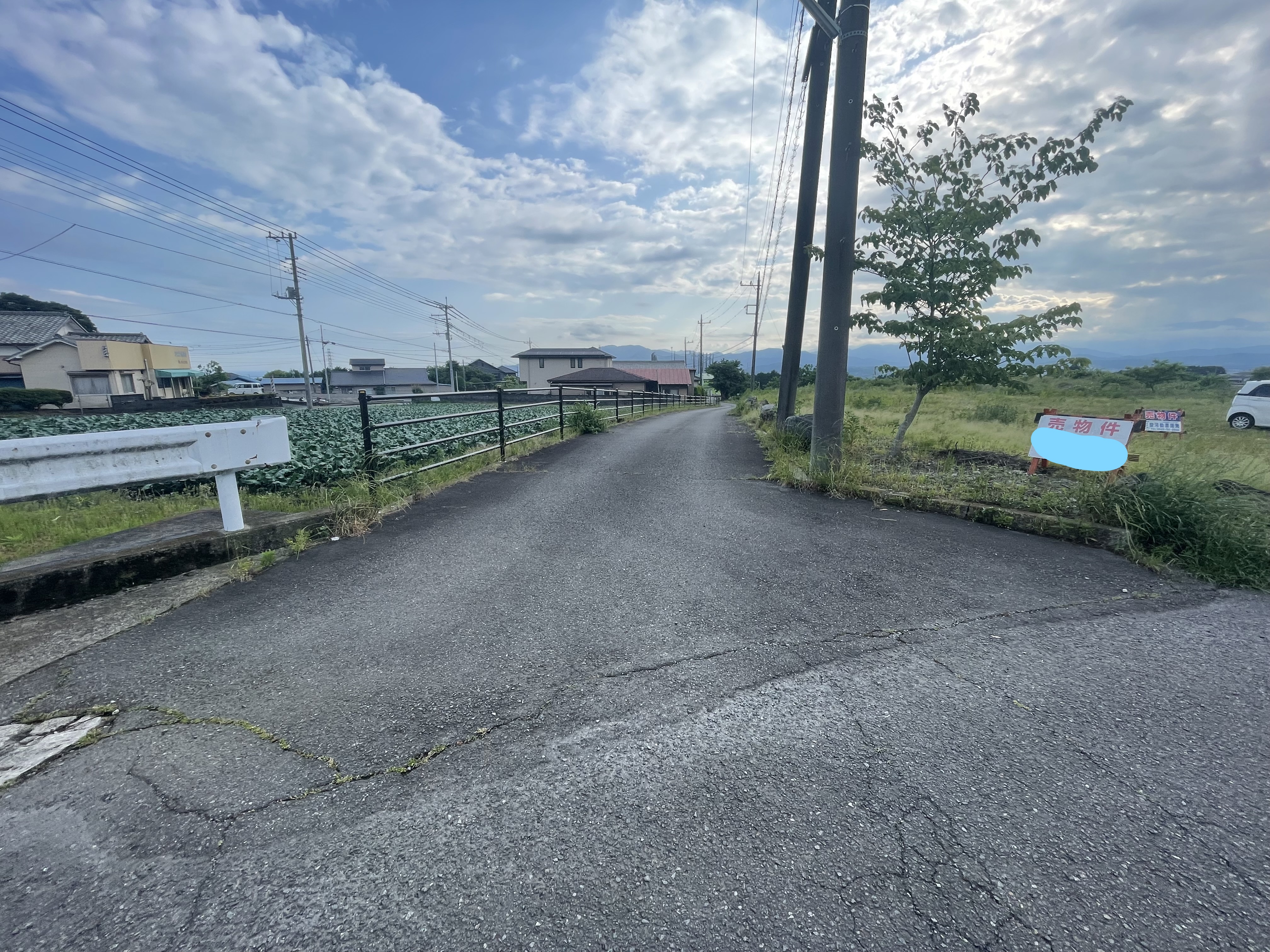 富士市大淵農業用地